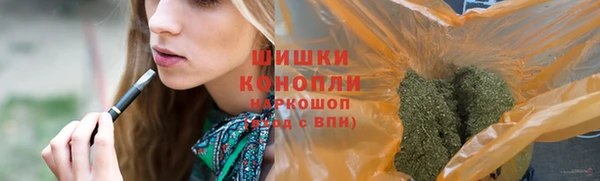 PSILOCYBIN Костерёво